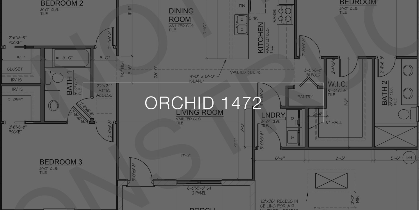 orchid1740